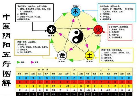 金生木 木生水|怎样理解五行理论中的“金生水”？